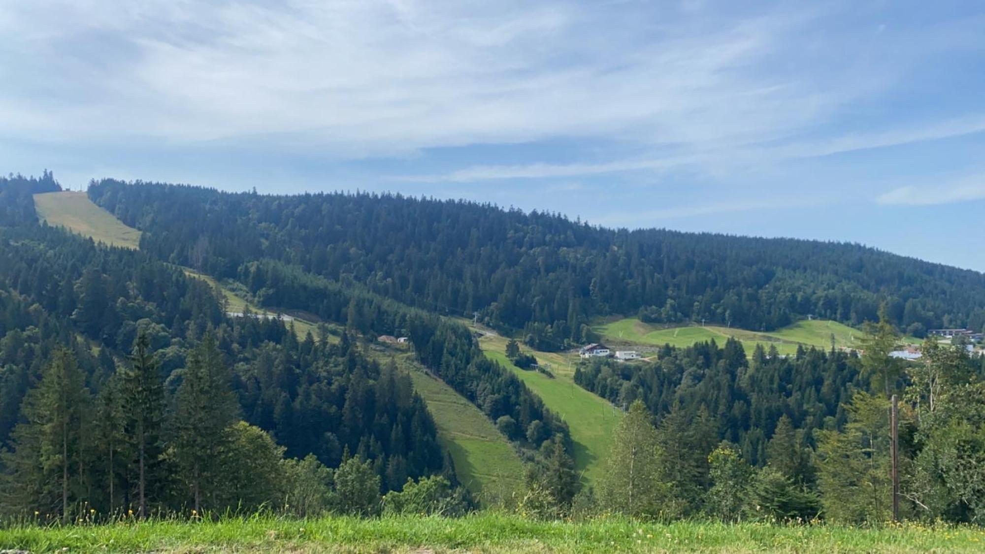 Appartement Sur Les Hauteurs De Gérardmer Dış mekan fotoğraf