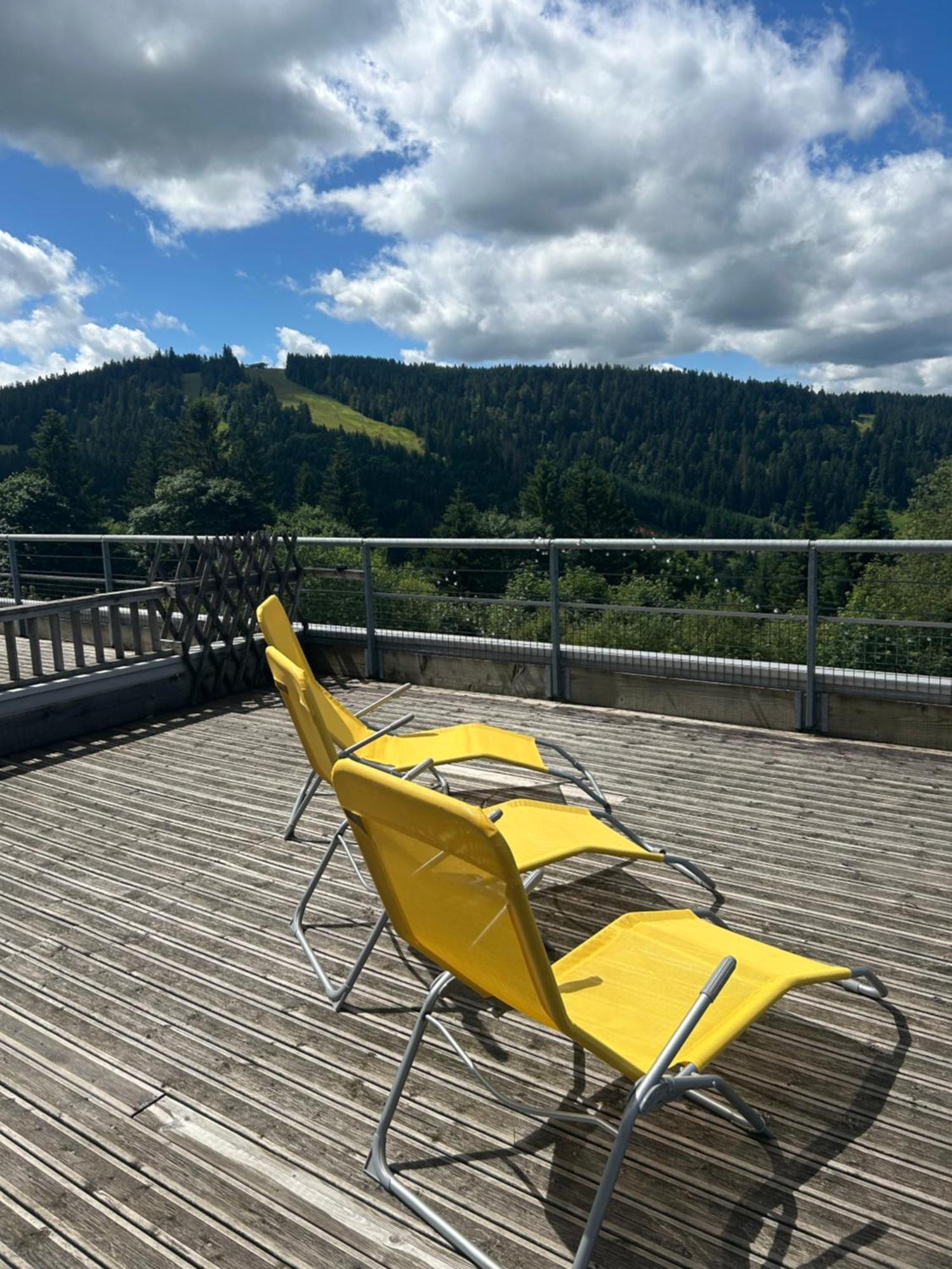 Appartement Sur Les Hauteurs De Gérardmer Dış mekan fotoğraf